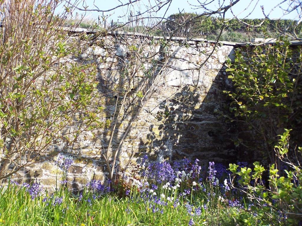 Bed and Breakfast The Old Parsonage Boscastle Exteriér fotografie