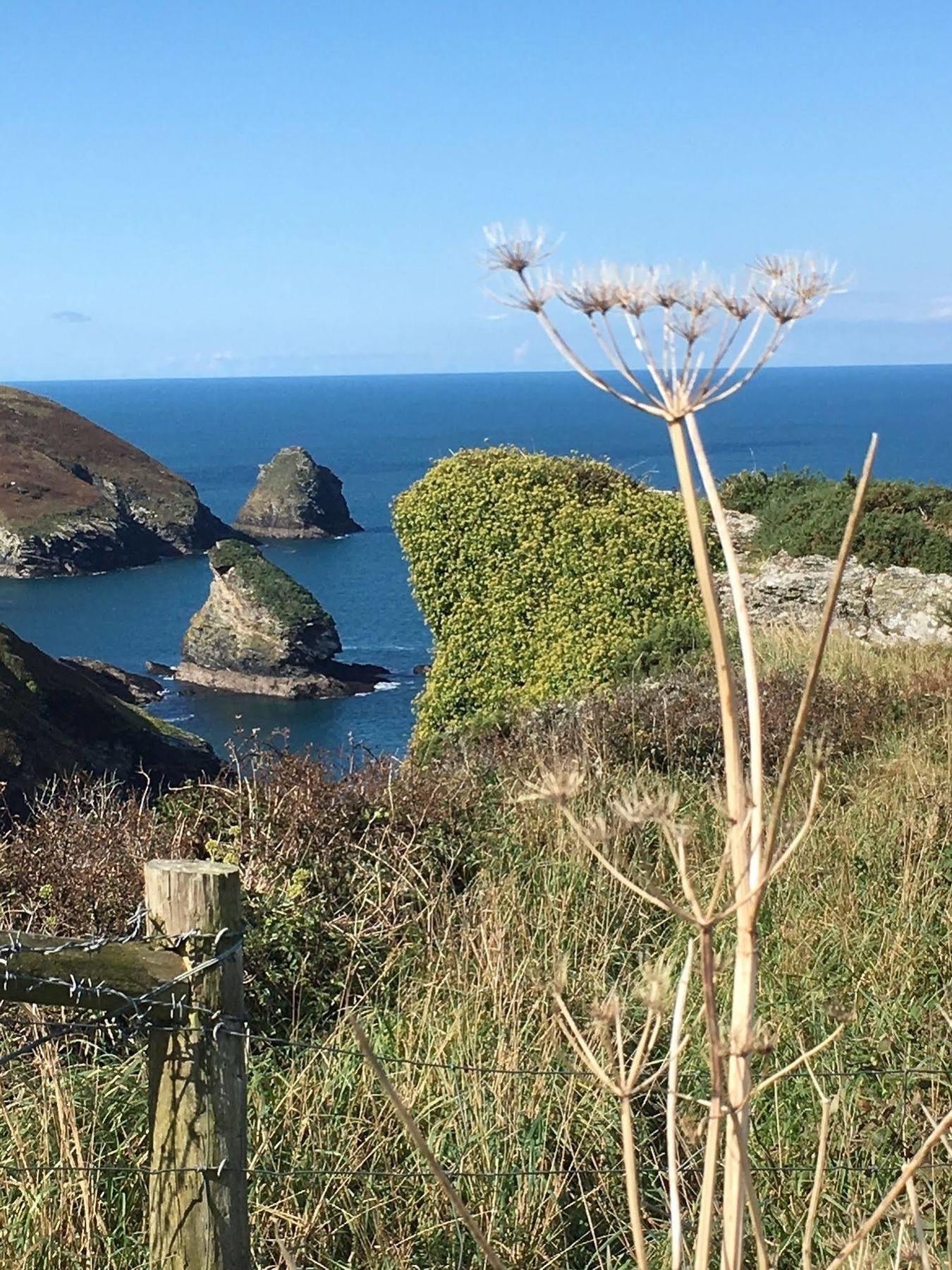 Bed and Breakfast The Old Parsonage Boscastle Exteriér fotografie